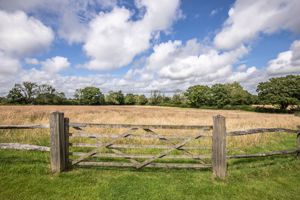 Photo 47- click for photo gallery